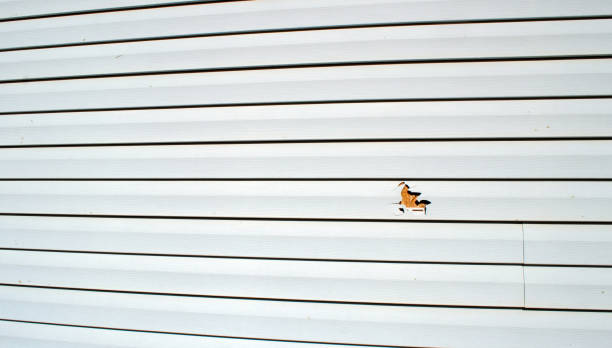 Best Aluminum Siding Installation  in Garland, NC